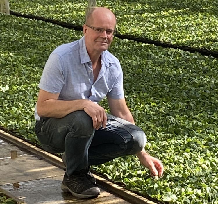 André Boereboom, eigenaar van Boereboom Stekcultures